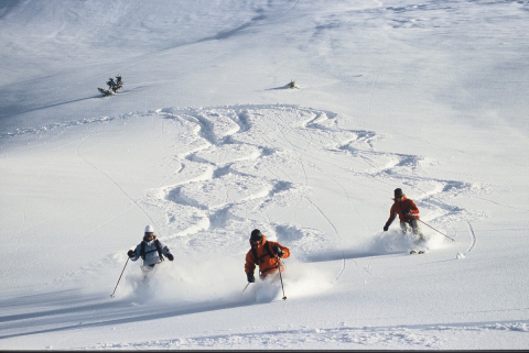 Ski Alpin Heidstein2