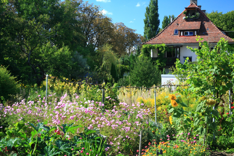 Vielfältig bepflanzter Kräutergarten 