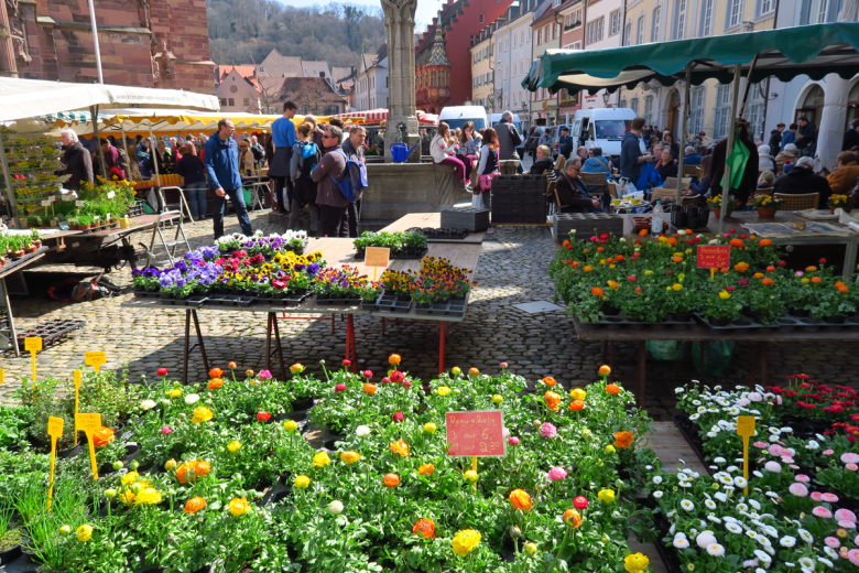 Markttag in Freiburg1