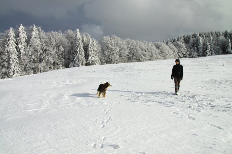 Auf einer Winterwanderung das Winterwunderland Schwarzwald entdecken